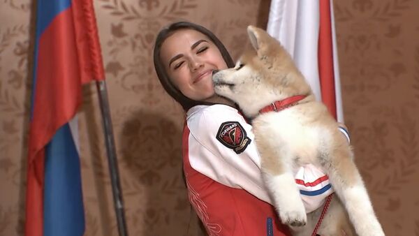 La patinadora artística rusa Alina Zaguítova recibió un cachorro de la raza japonesa Akita Inu por su victoria en los JJOO de Pyeongchang 2018 - Sputnik Mundo