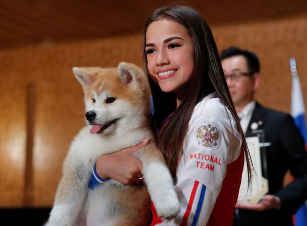 El político japonés Takashi Edo regaló a una de las campeonas de los Juegos Olímpicos de Pyeongchang, Alina Zaguítova, un cachorro de akita inu. - Sputnik Mundo