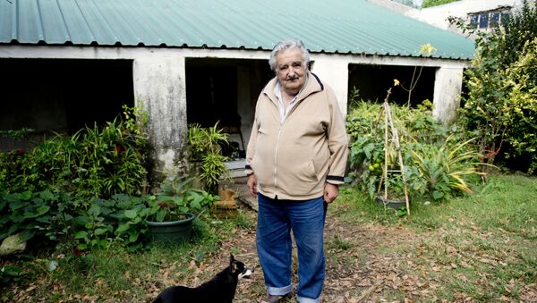 José Mujica con su perra Manuela - Sputnik Mundo