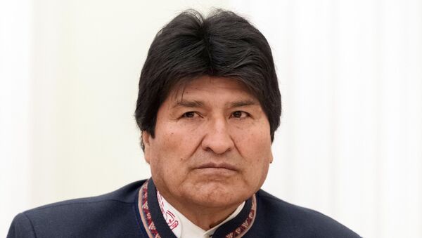Evo Morales, expresidente de Bolivia (archivo) - Sputnik Mundo