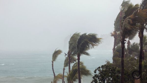 Situación tras el paso del huracán Bud en Los Cabos, México - Sputnik Mundo