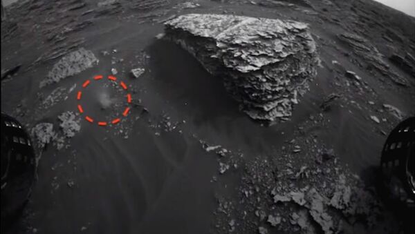 Detectan 'vida marciana' en los vídeos de la NASA - Sputnik Mundo