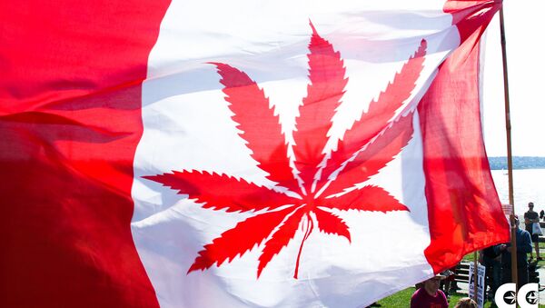 La bandera de Canadá con la imagen de canábis en vez de una hoja de arce (imagen referencial) - Sputnik Mundo