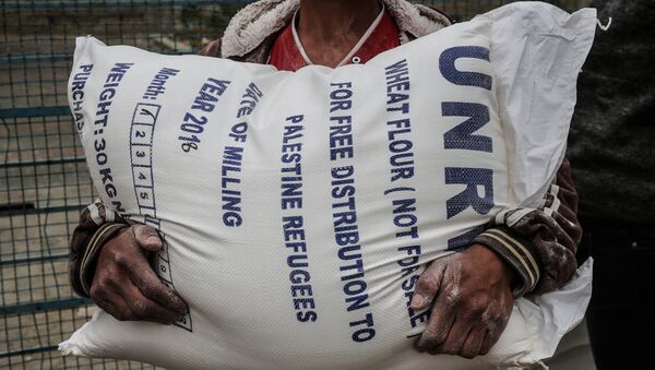 La ayuda humanitaria de la UNRWA - Sputnik Mundo