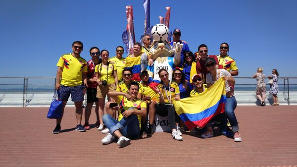 Hinchas de la selección de Colombia - Sputnik Mundo