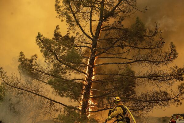 Los incendios forestales devoran California - Sputnik Mundo