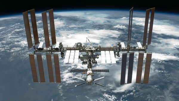 Estación Espacial Internacional (EEI) - Sputnik Mundo