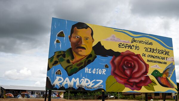 Un cartel en el Espacio Territorial de Capacitación y Reincorporación en Caquetá, Colombia - Sputnik Mundo