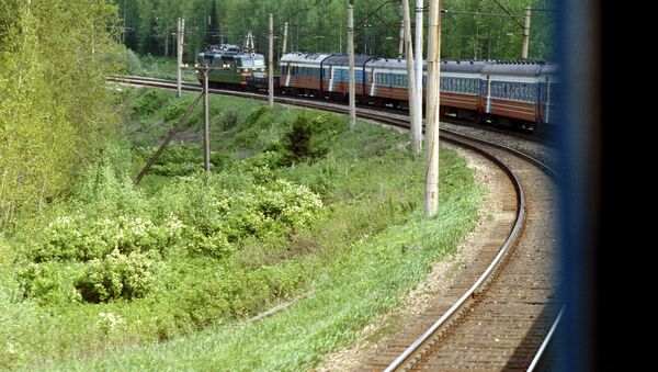 The Trans-Siberian Mainline in Russia's Irkutsk Region - Sputnik Mundo
