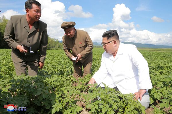 Kim Jong-un marca también el camino de la economía norcoreana - Sputnik Mundo