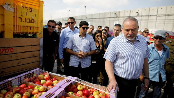 El ministro de Defensa israelí, Avigdor Lieberman, en el paso fronterizo de Kerem Shalom, entre Israel y Gaza - Sputnik Mundo
