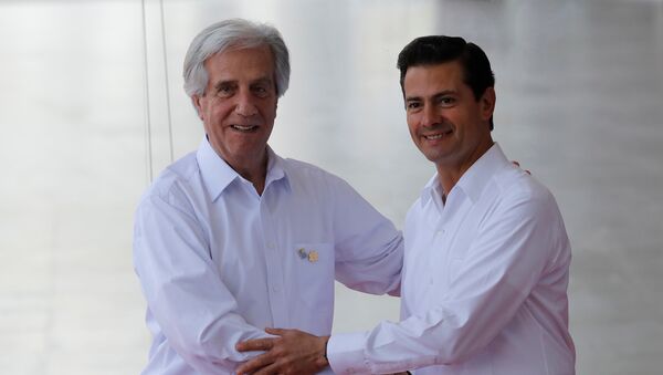 El presidente de México, Enrique Peña Nieto, y el presidente de Uruguay, Tabaré Vázquez, inauguran XIII cumbre de la Alianza del Pacífico - Sputnik Mundo