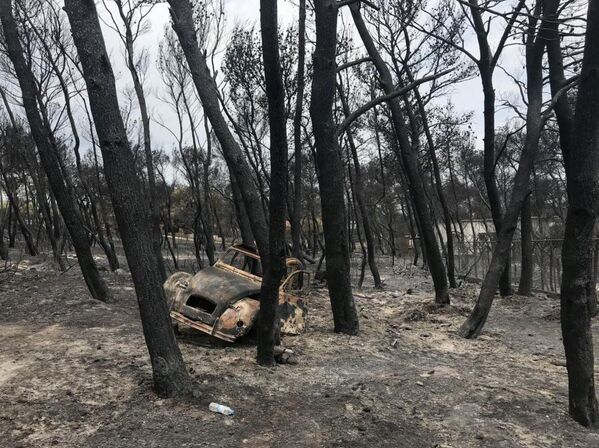Una tragedia indescriptible: los incendios forestales asolan Grecia - Sputnik Mundo