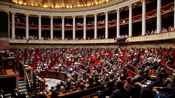 Asamblea Nacional (Parlamento) de Francia - Sputnik Mundo