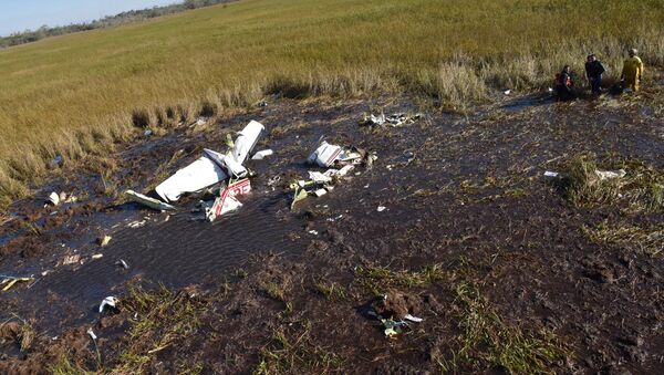 Restos del avión accidentado en el que viajaba el ministro de Agricultura de Paraguay - Sputnik Mundo