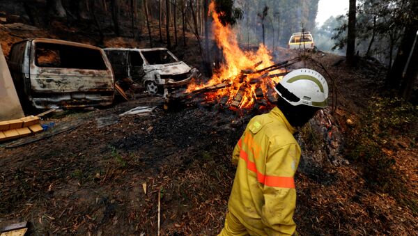Incendios forestales en Portugal - Sputnik Mundo