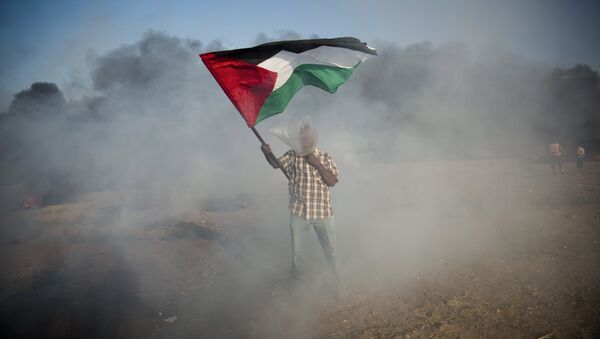 Un palestino con la bandera durante las protestas en Gaza (imagen referencial) - Sputnik Mundo