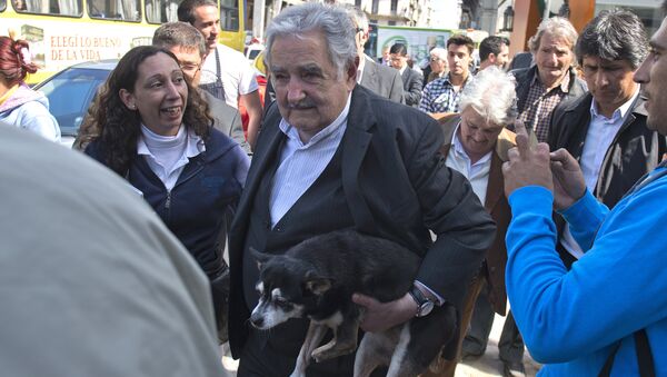 José Mujica, expresidente de Uruguay, lleva a su perra Manuela en brazos - Sputnik Mundo