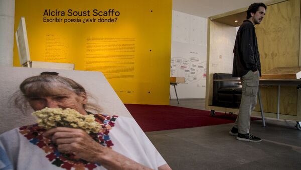 Agustín Fernández muestra la obra su tía abuela Alcira Soust, en el Museo de Arte Contemporáneo - Sputnik Mundo