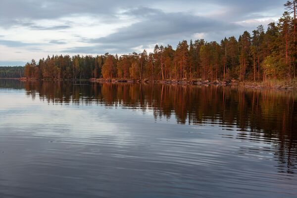 La tierra de los 1.000 lagos: ¡descubre la belleza hipnótica de la región rusa de Carelia! - Sputnik Mundo