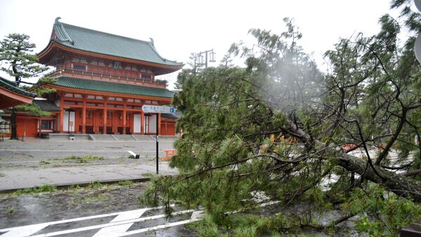 Consecuencias del tifón Jebi en Japón - Sputnik Mundo