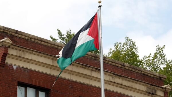 La bandera de Palestina en la sede de la representación de la OLP en Washington, EEUU - Sputnik Mundo