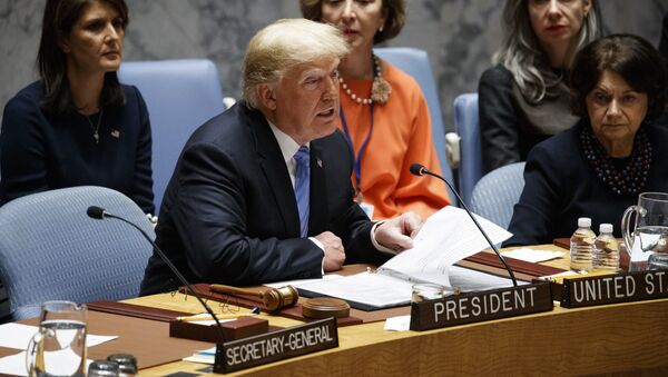  Donald Trump, presidente de EEUU en el Consejo de Seguridad de la ONU - Sputnik Mundo