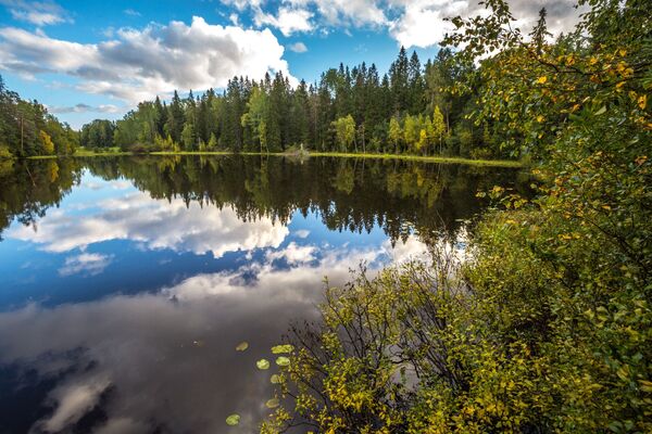¿Qué es el otoño boreal? Los mejores paisajes de Rusia, en imágenes - Sputnik Mundo