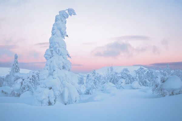 Vladímir Alekséev fotografió su obra 'Una vela de nieve' en el norte de los Urales. - Sputnik Mundo
