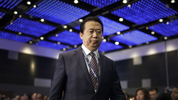 Meng Hongwei, jefe de Interpol - Sputnik Mundo