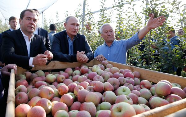 El presidente ruso, Vladímir Putin, y el primer ministro, Dmitri Medvédev, en una reunión con agricultores en la región de Stávropol - Sputnik Mundo