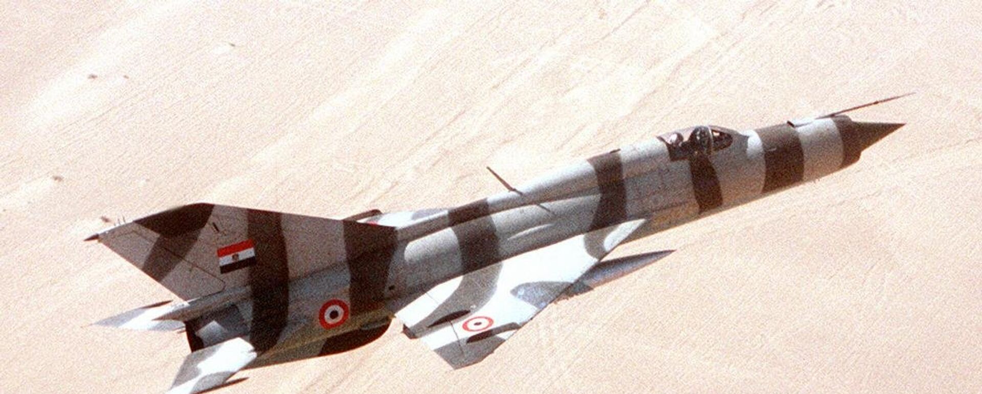 Un MiG-21 de las Fuerzas Aéreas de Egipto - Sputnik Mundo, 1920, 11.10.2018