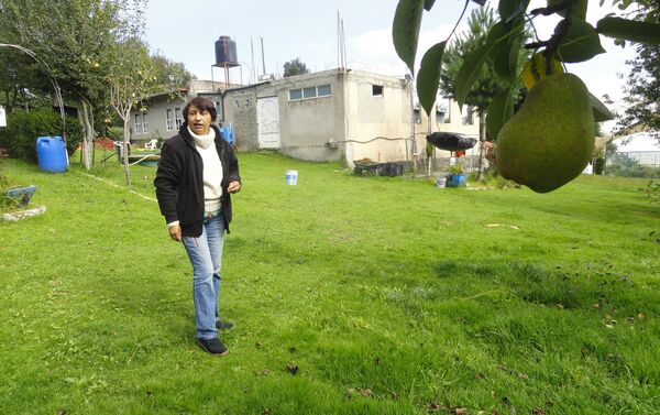 María Teresa Brambila, pasó de lo urbano a lo rural en proyecto agroecológico - Sputnik Mundo