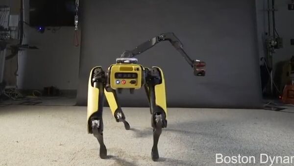 SpotMini, robot de la empresa Boston Dynamics - Sputnik Mundo
