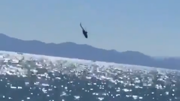 Vídeo: así cayó el helicóptero de la Armada de México - Sputnik Mundo