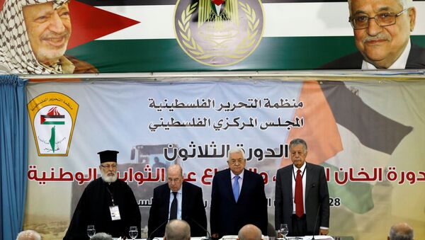 El Consejo Central Palestino - Sputnik Mundo