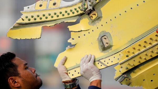 Fragmento del avión de la compañía Lion Air siniestrado en Indonesia - Sputnik Mundo