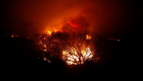 Un incendio forestal en Malibú - Sputnik Mundo