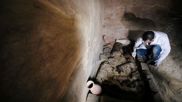Excavación arqueológica en una tumba del emplazamiento de Saqqara - Sputnik Mundo