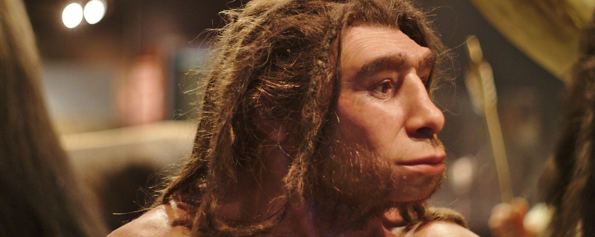 Un homo neanderthalensis en el museo de Munster (Alemania) - Sputnik Mundo, 1920, 25.04.2020
