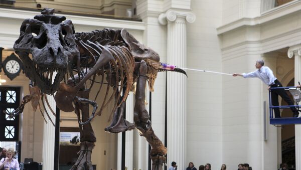 El titanosauro Tyrannosaurus rex, referencial - Sputnik Mundo