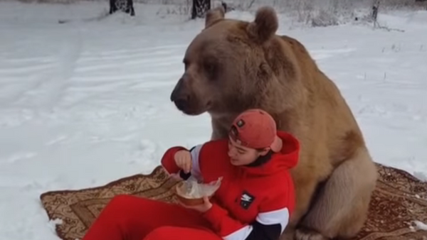 ¿Te atreves a compartir un picnic con un oso gigante? - Sputnik Mundo