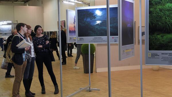 Exposición en Rusia (imagen referencial) - Sputnik Mundo