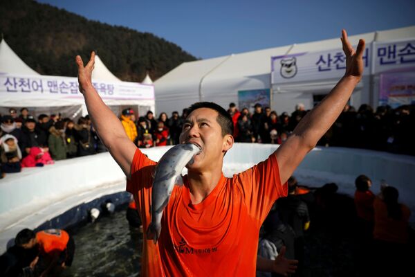 Festival de la trucha en Corea del Sur - Sputnik Mundo