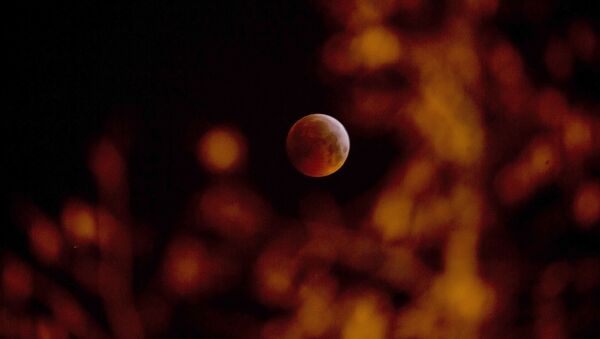 Кровавое лунное затмение в Бельгии  - Sputnik Mundo