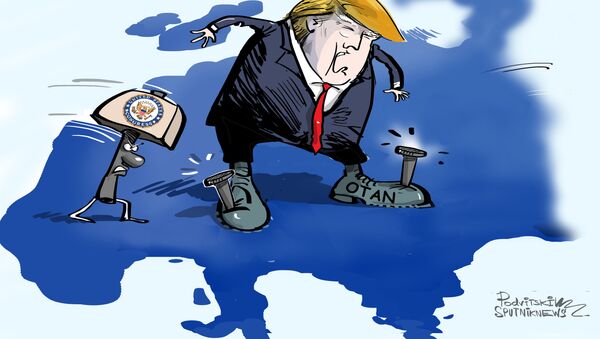 El Congreso de EEUU engancha a Trump a la OTAN - Sputnik Mundo