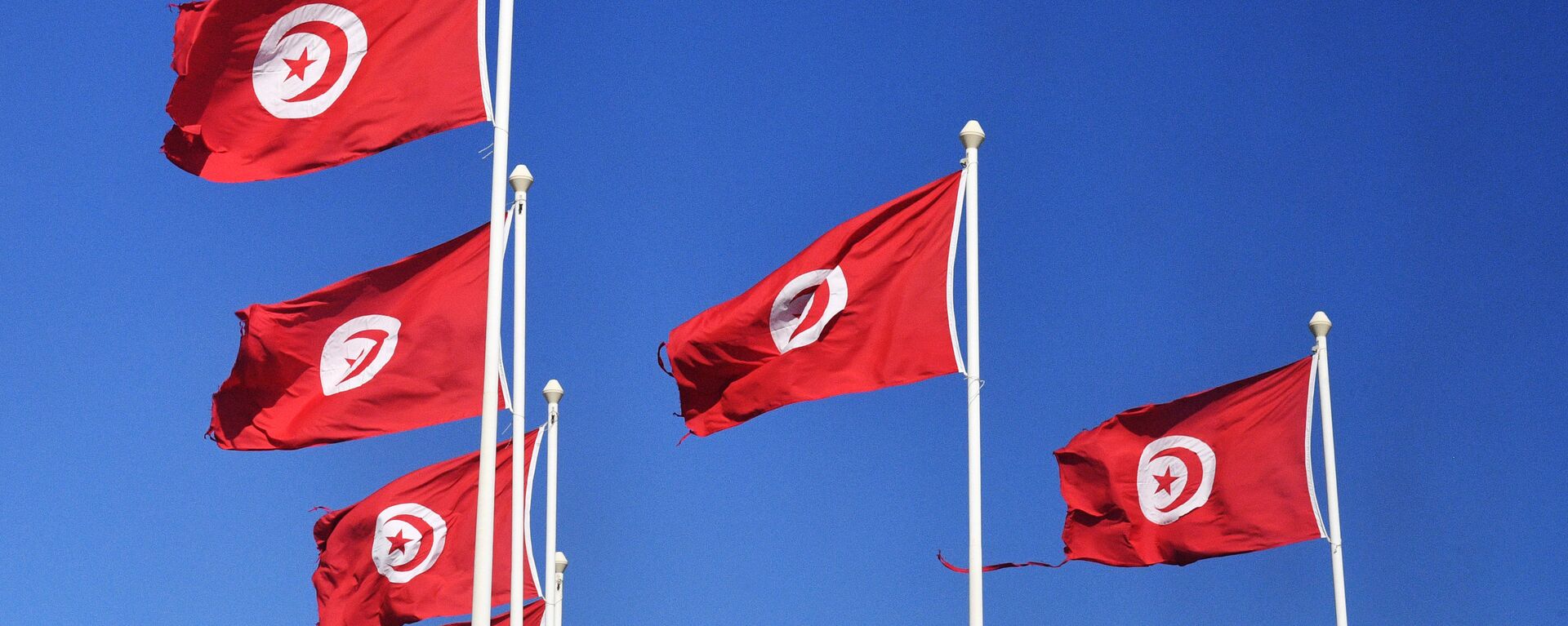 Las banderas de Túnez  - Sputnik Mundo, 1920, 25.07.2022