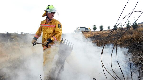 Un bombero en los incendios en Nueva Zelandia - Sputnik Mundo