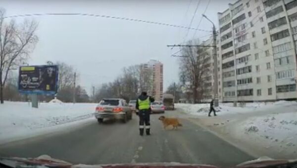 Un policía ayuda a un perro - Sputnik Mundo