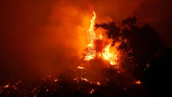 Un incendio forestal se ve dentro del parque metropolitano llamado cerro San Cristóbal en el centro de la ciudad de Santiago - Sputnik Mundo